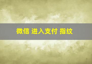 微信 进入支付 指纹